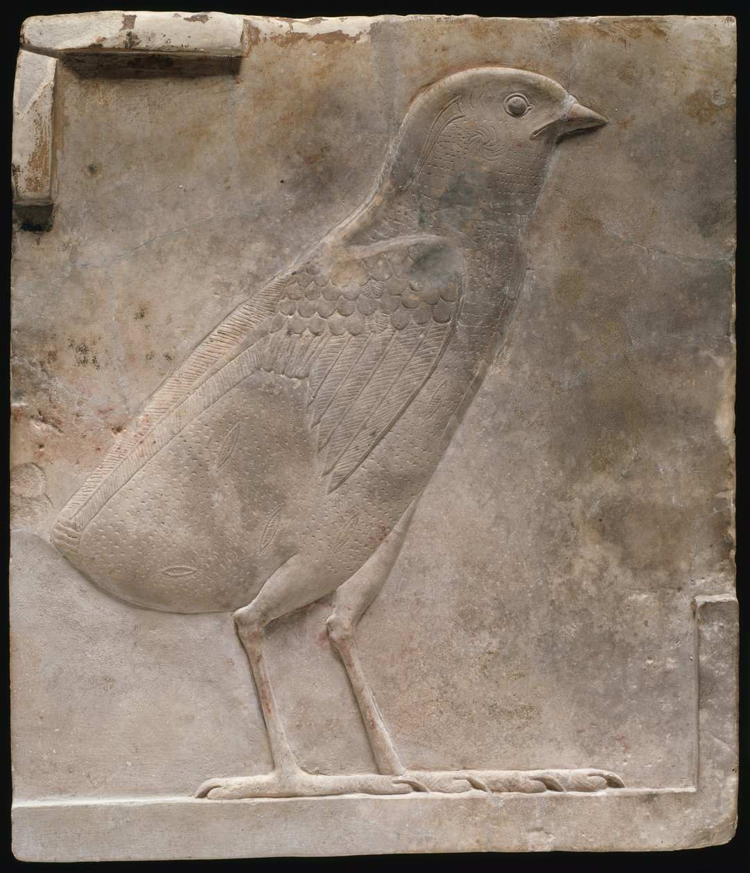 Tabliczka z wizerunkiem pisklęcia przepiórki autorstwa Ancient Egyptian