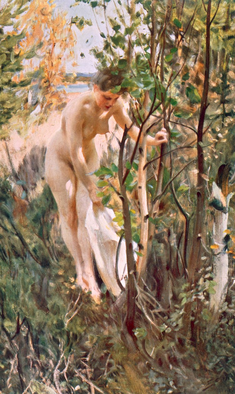 przeddzień autorstwa Anders Leonard Zorn
