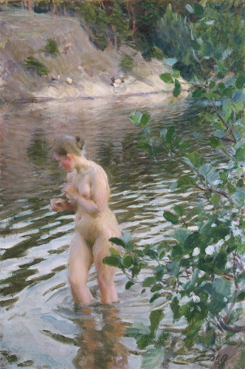 Chłodno autorstwa Anders Leonard Zorn