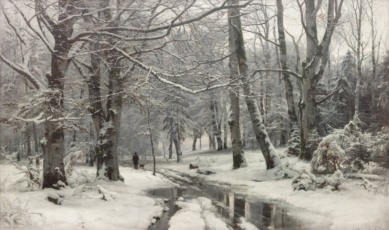 Mroźna pogoda w bukowym lesie autorstwa Anders Andersen Lundby