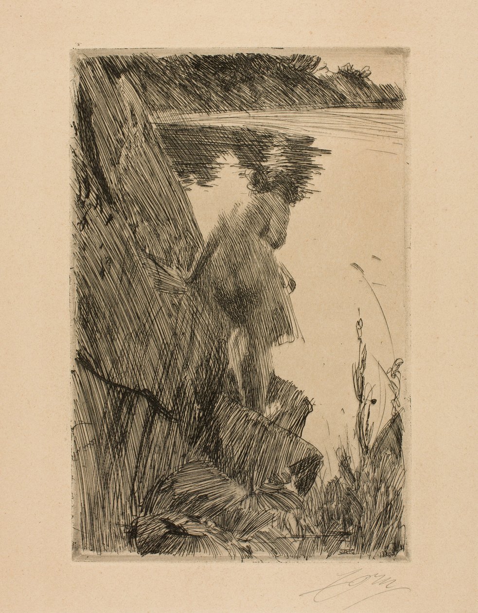 Kuracjusz autorstwa Anders Leonard Zorn