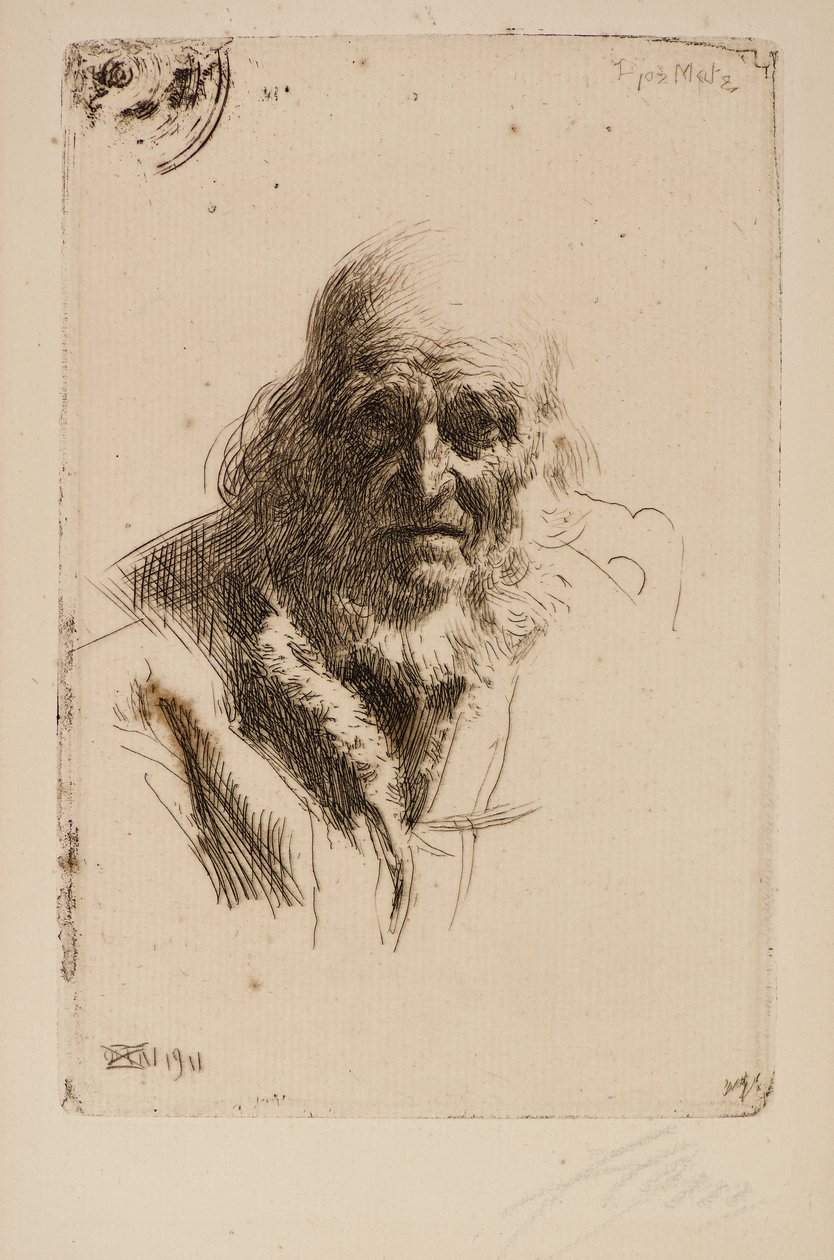 Głowa starego człowieka autorstwa Anders Leonard Zorn