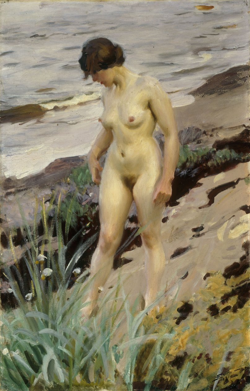 Studium Sandhamna, 1914 autorstwa Anders Leonard Zorn