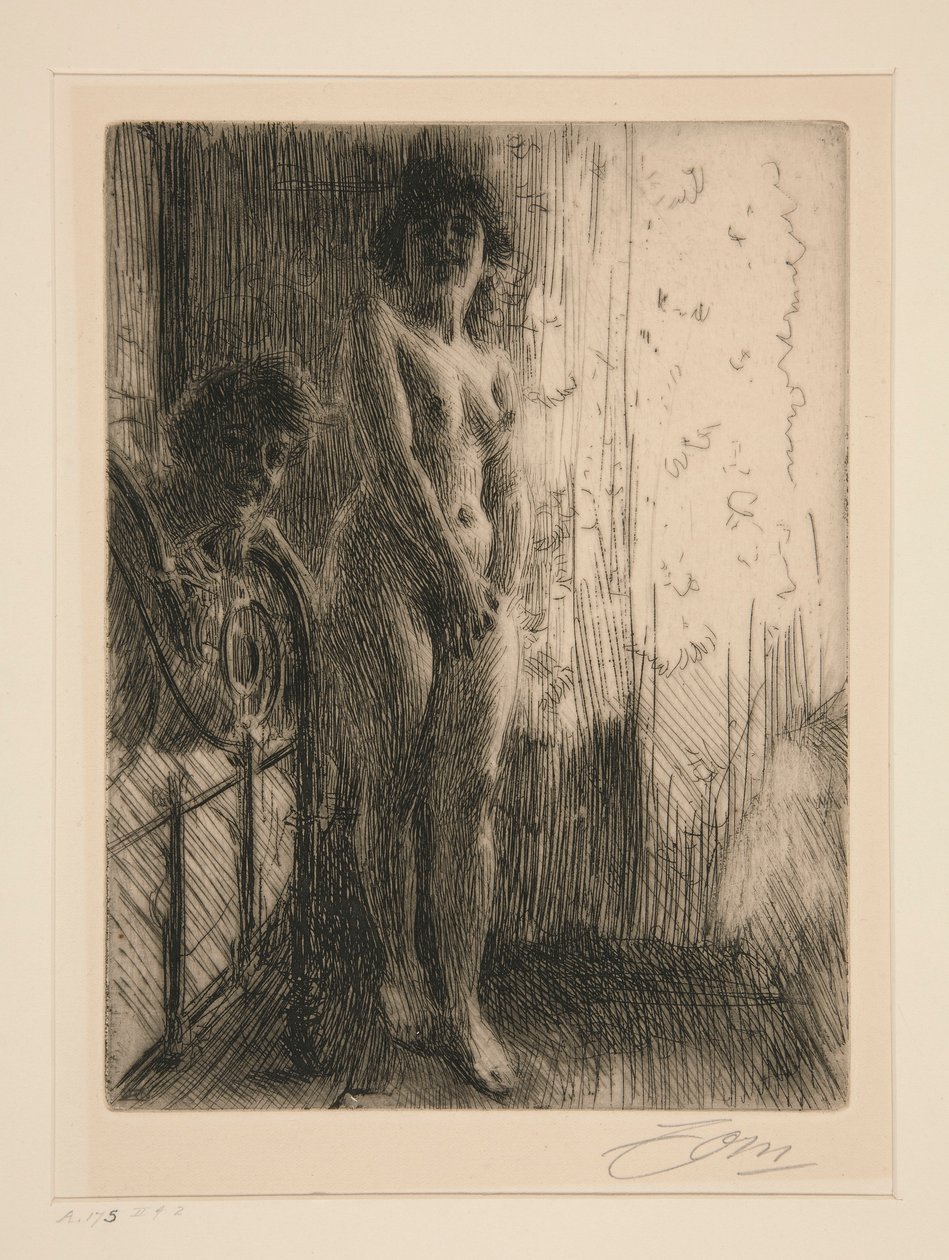 Ciemny zakątek autorstwa Anders Leonard Zorn