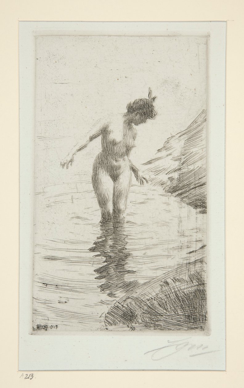 koła d autorstwa Anders Leonard Zorn