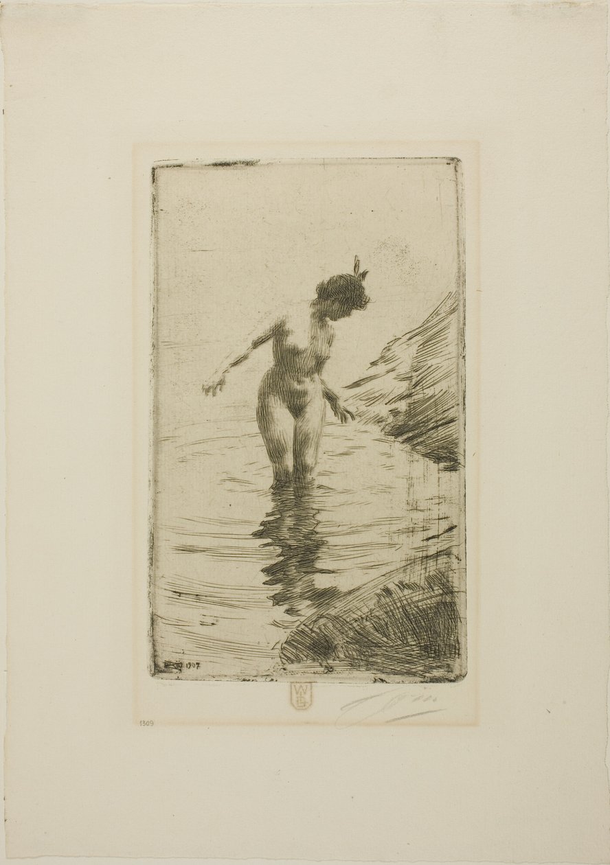 Kręgi wody II autorstwa Anders Zorn