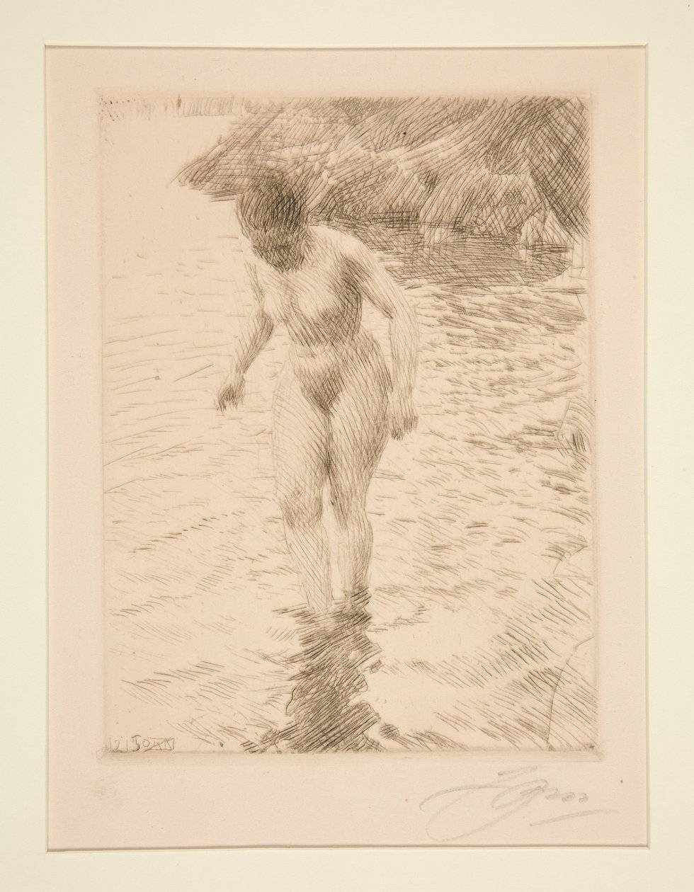 dolarów autorstwa Anders Leonard Zorn