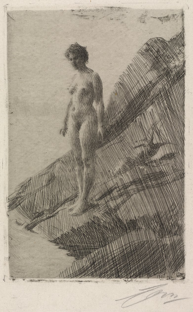 To jest to autorstwa Anders Zorn