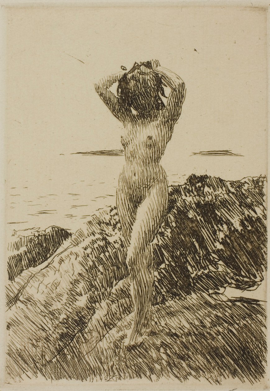 Hårtång (wieniec z wodorostów) autorstwa Anders Zorn