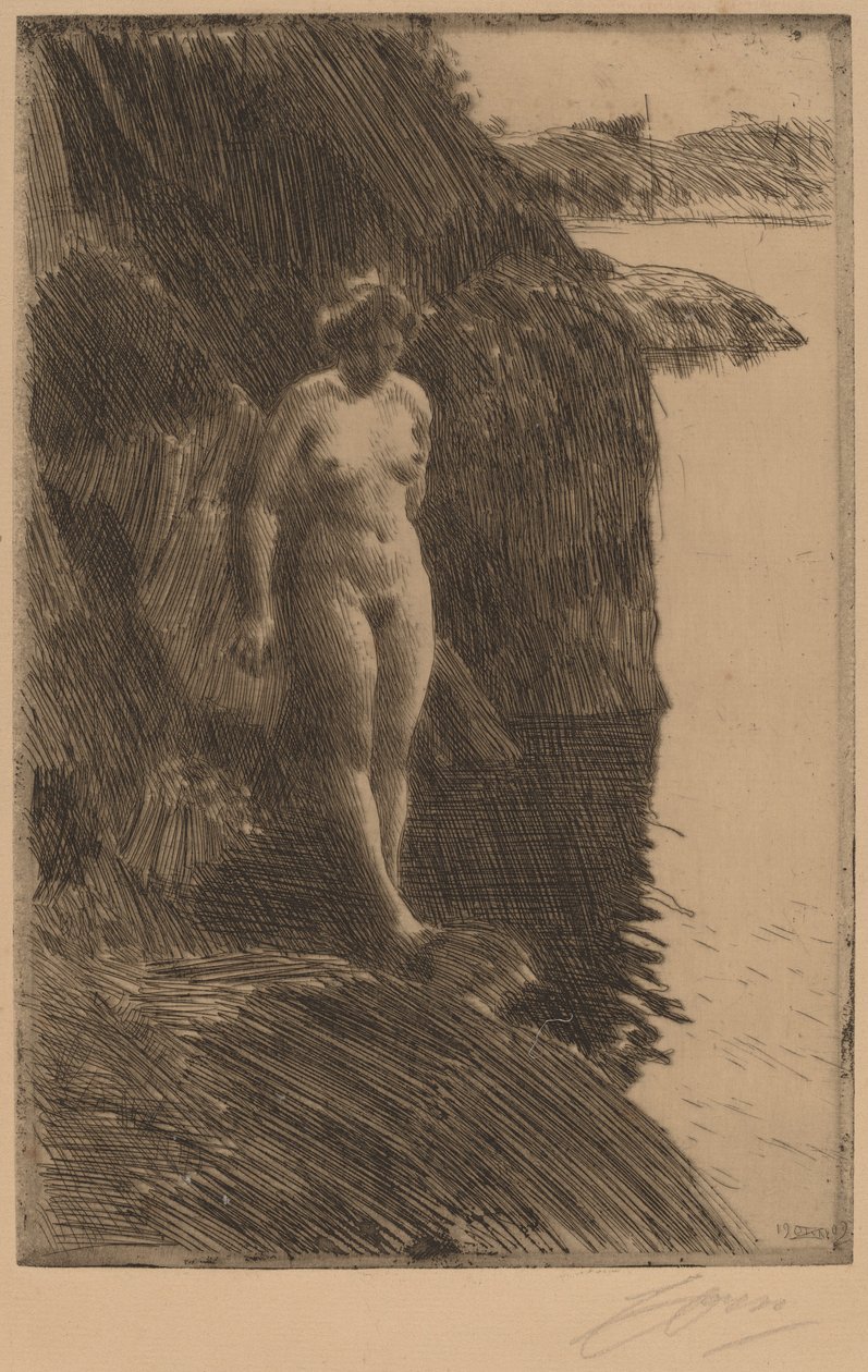 Przepaść autorstwa Anders Leonard Zorn
