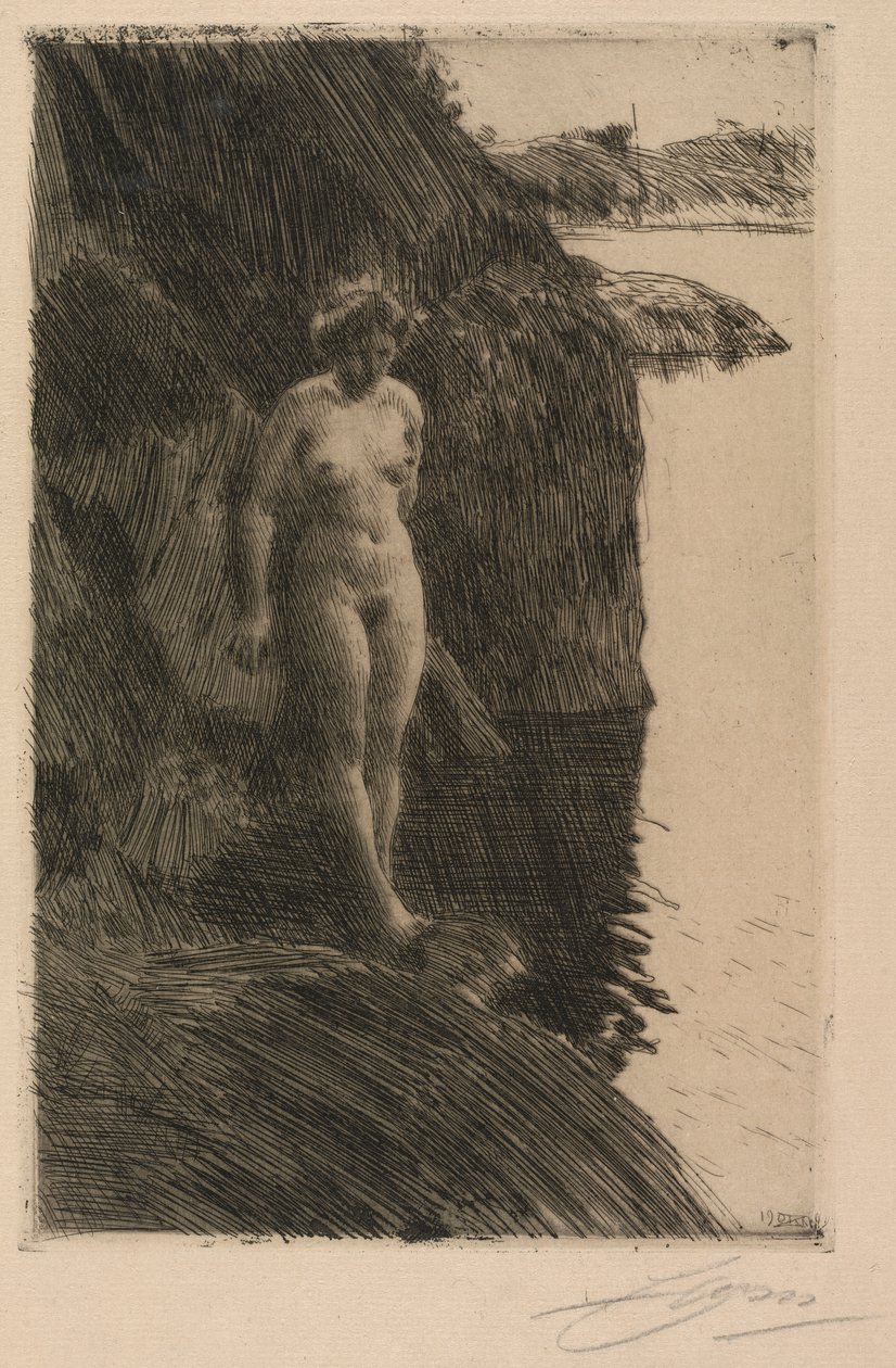 Przepaść autorstwa Anders Leonard Zorn