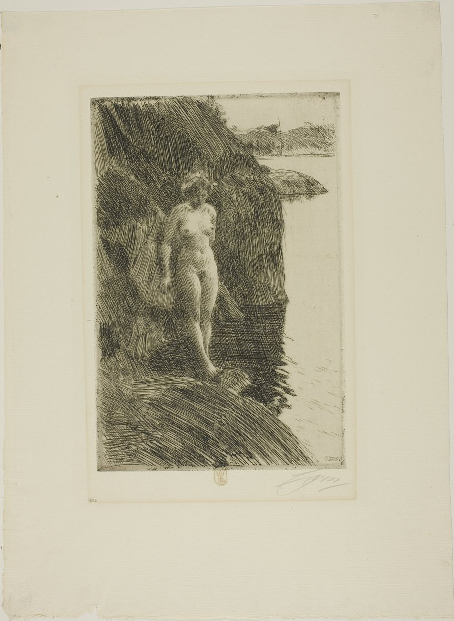Przepaść autorstwa Anders Leonard Zorn