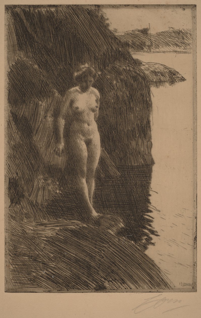 Przepaść autorstwa Anders Zorn