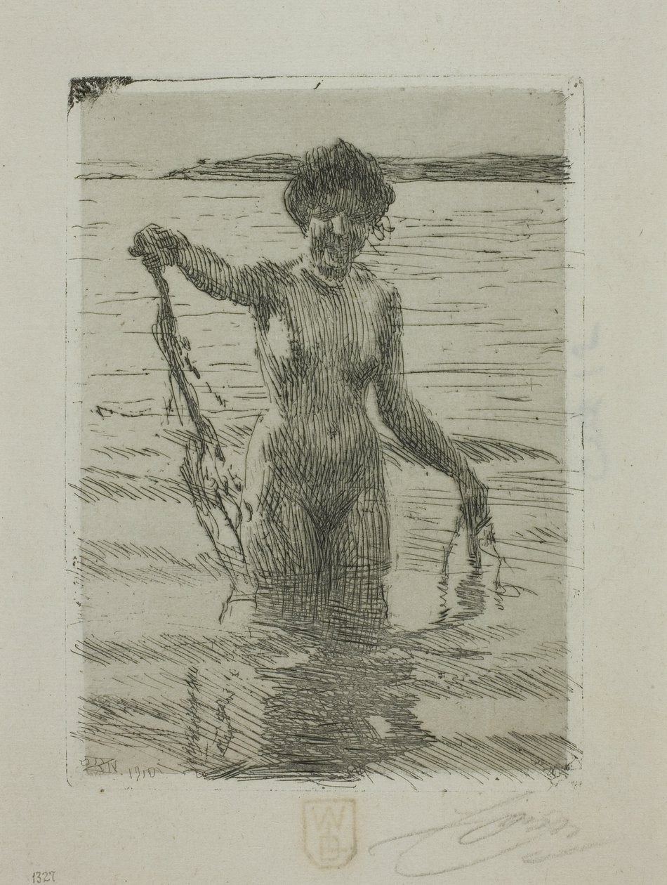 Wodorost autorstwa Anders Leonard Zorn