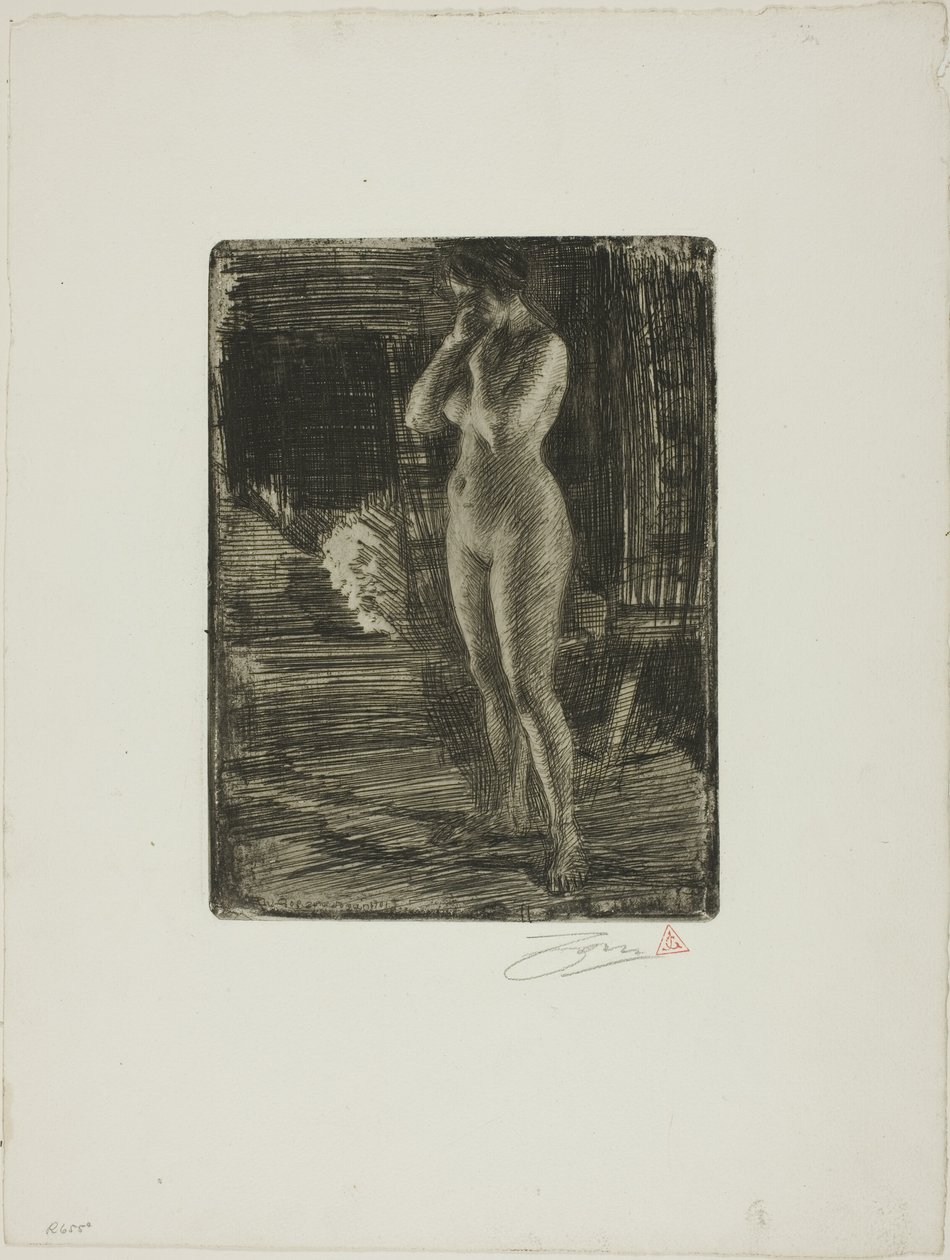 Pierwsza pozycja autorstwa Anders Leonard Zorn