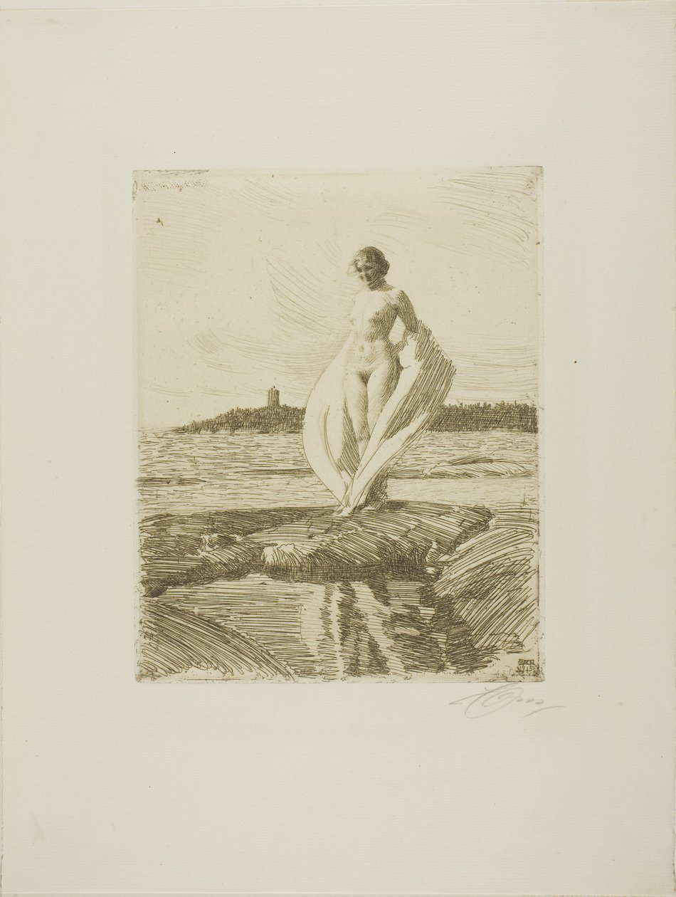 Łabądź autorstwa Anders Leonard Zorn