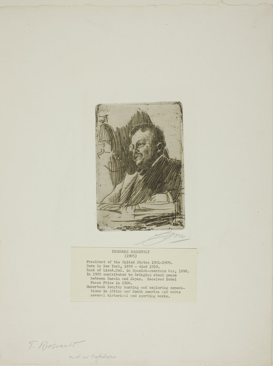 Theodore Roosevelt autorstwa Anders Leonard Zorn