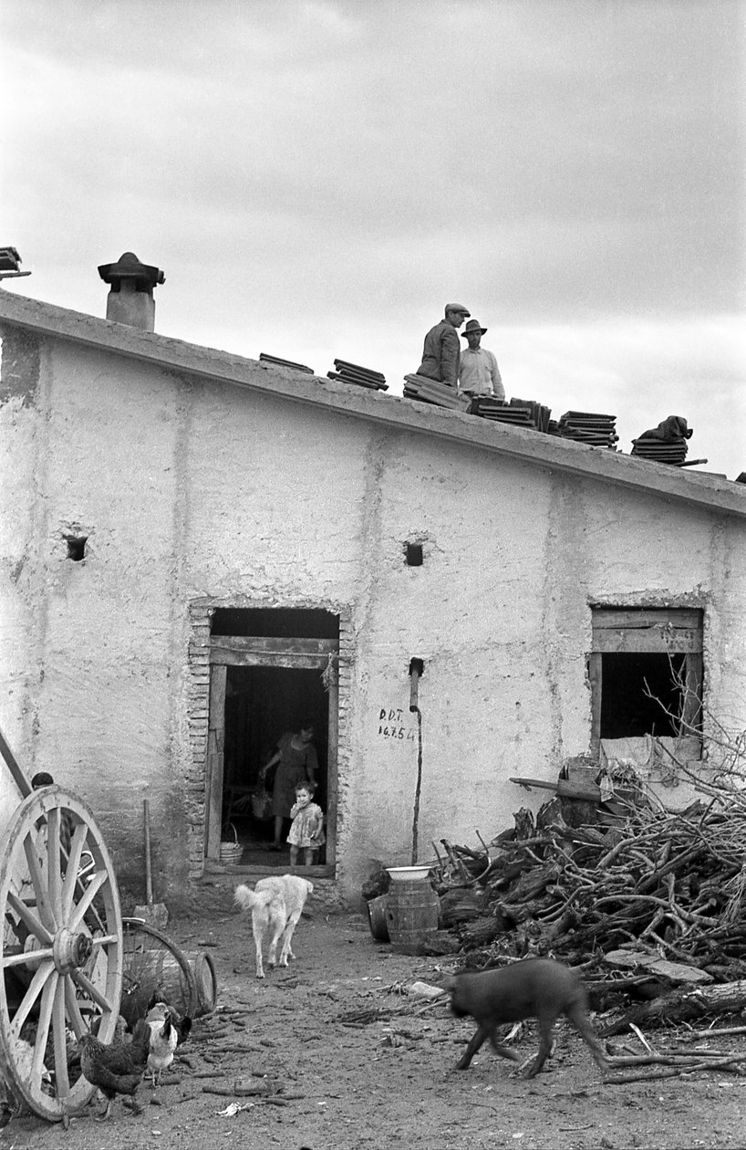 CROTONE COUNTRYSIDE - DACH NAD GŁOWĄ, autorstwa Ando Gilardi