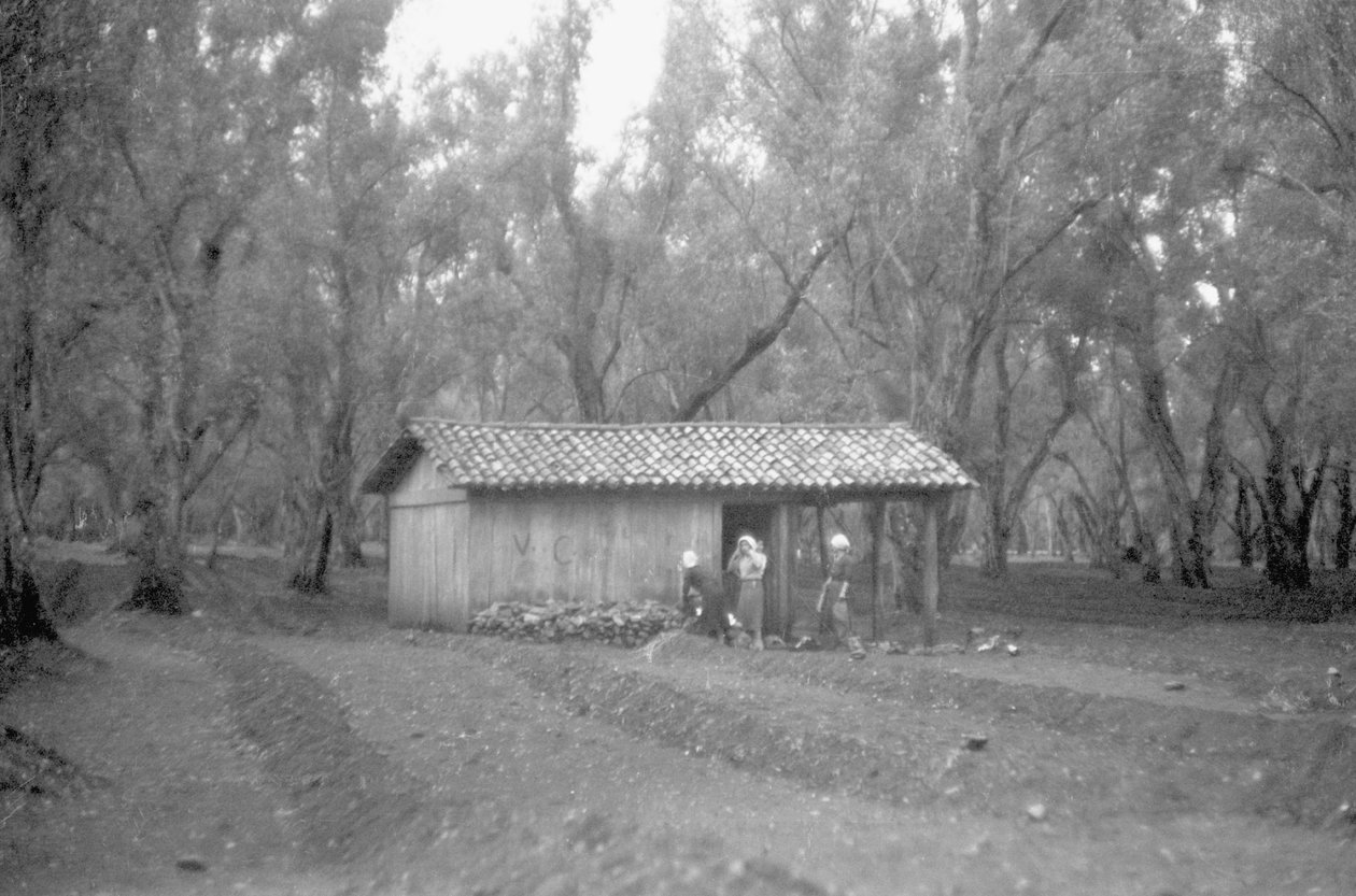 SCHRONIENIE W GAJU OLIWNYM autorstwa Ando Gilardi