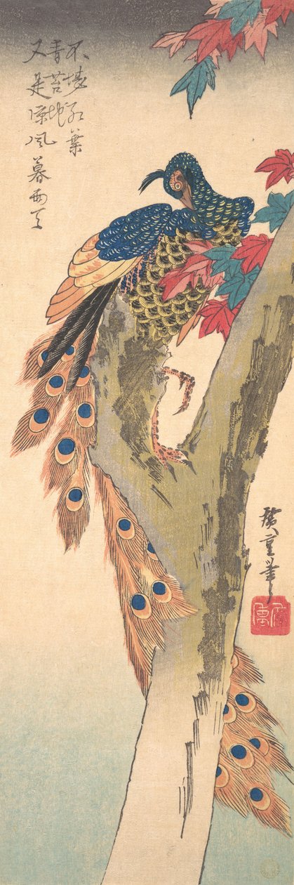 Paw siedzący na klonie, ca. 1833., ca. 1833. autorstwa Ando Hiroshige