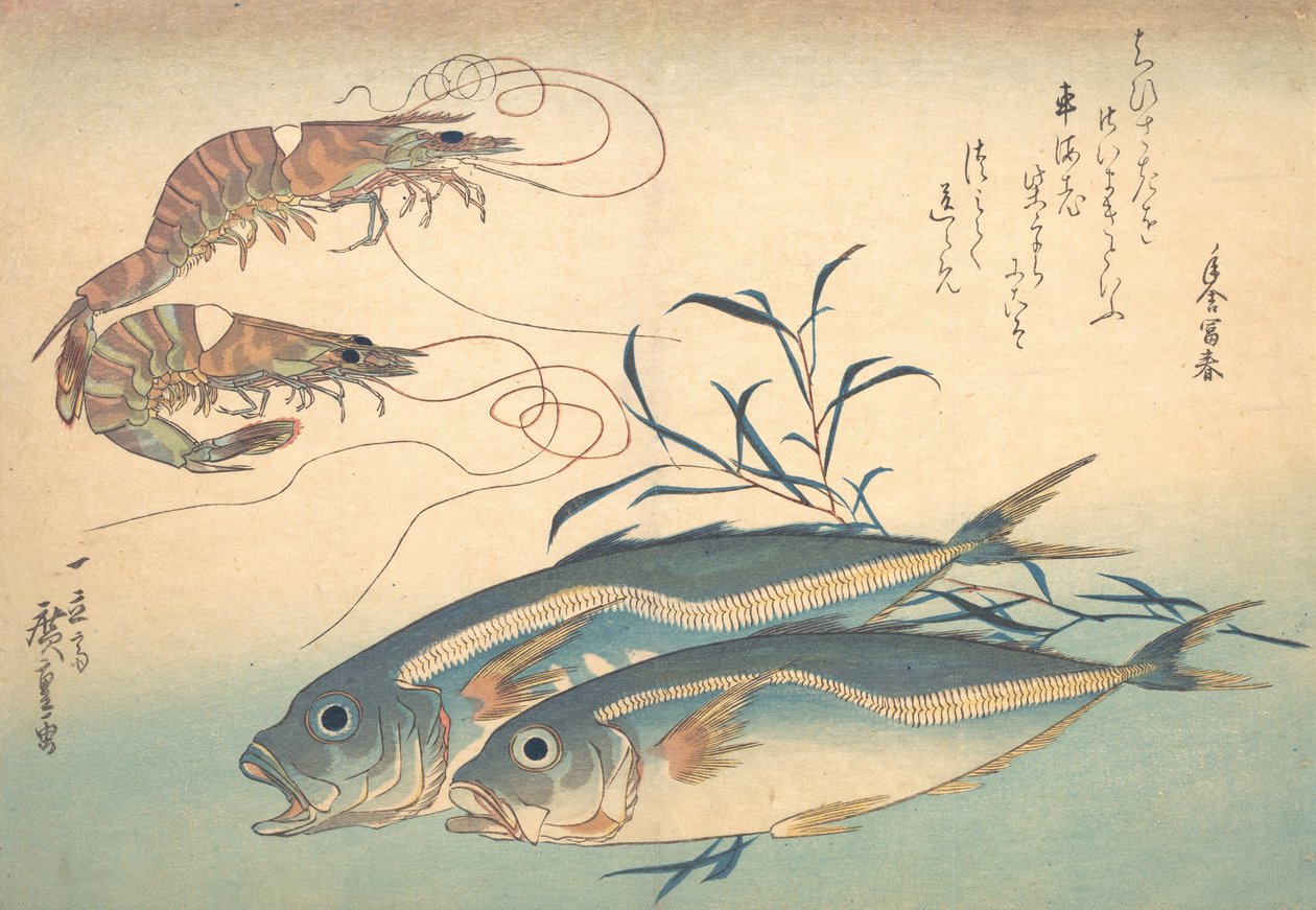Aji Fish i Kuruma-ebi, z serii Uozukushi Every Variety of Fish, 1830., 1830. autorstwa Ando Hiroshige