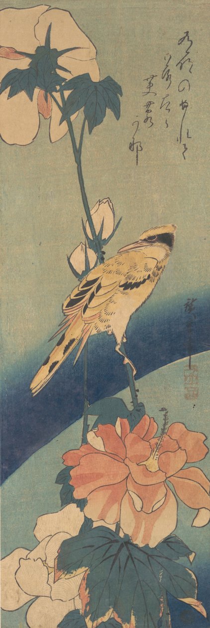 Wilga czarnowłosa usadowiona na łodydze róży, ca. 1834., ca. 1834. autorstwa Ando Hiroshige