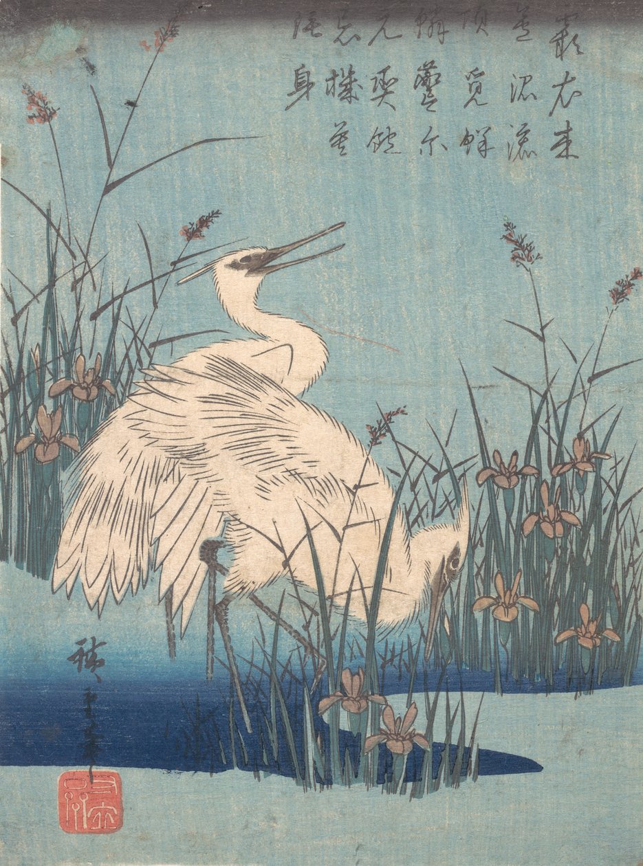 Czapla w Irysie i Trawach, ca. 1837., ca. 1837. autorstwa Ando Hiroshige