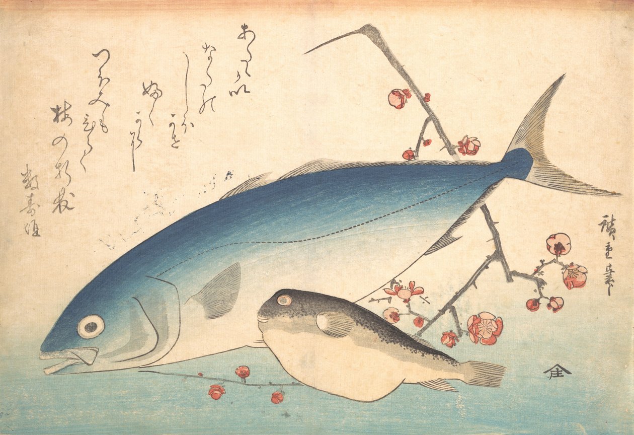 Ryby Fugu i Inada z serii Uozukushi Każda odmiana ryb, lata czterdzieste XIX wieku, lata czterdzieste XIX wieku. autorstwa Ando Hiroshige
