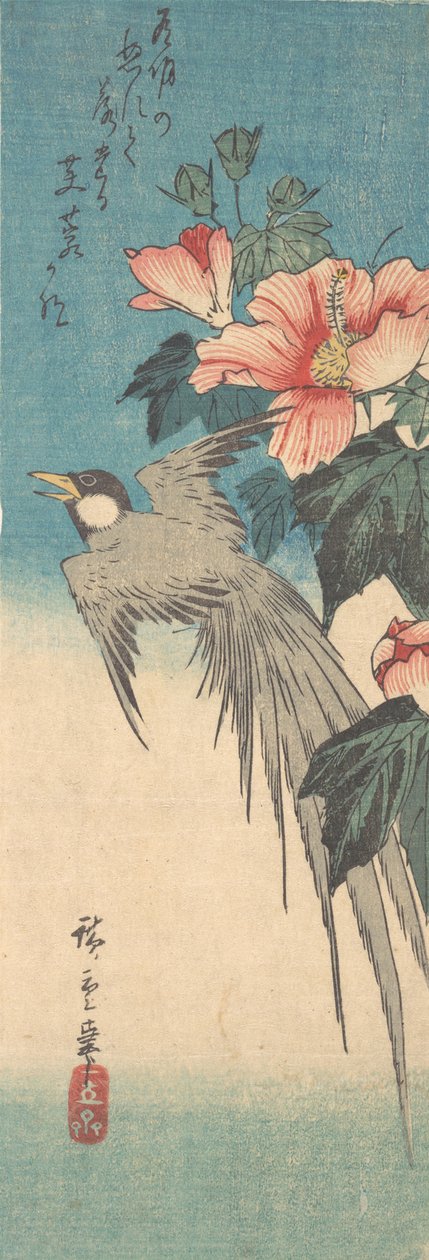 Hibiscus Mutabilis i długoogoniasty, ca. 1842., ca. 1842. autorstwa Ando Hiroshige