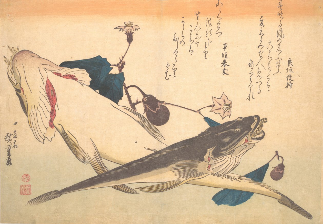 Kochi Fish z bakłażanem, z serii Uozukushi Każda odmiana ryb, lata 30., 1830. autorstwa Ando Hiroshige