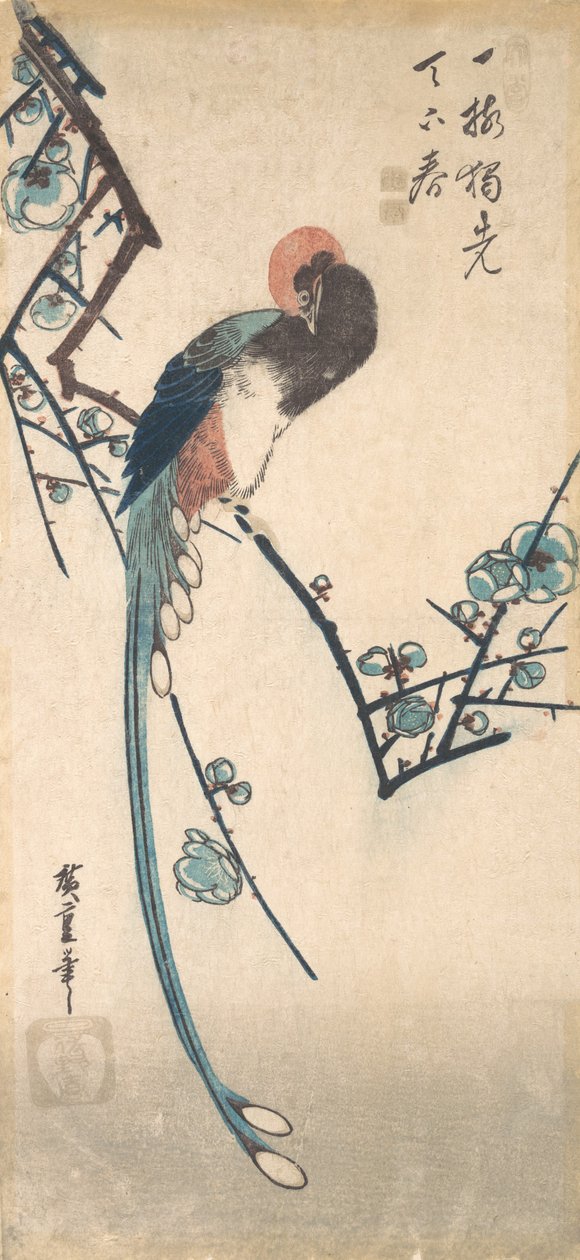Ptak długoogoniasty. autorstwa Ando Hiroshige