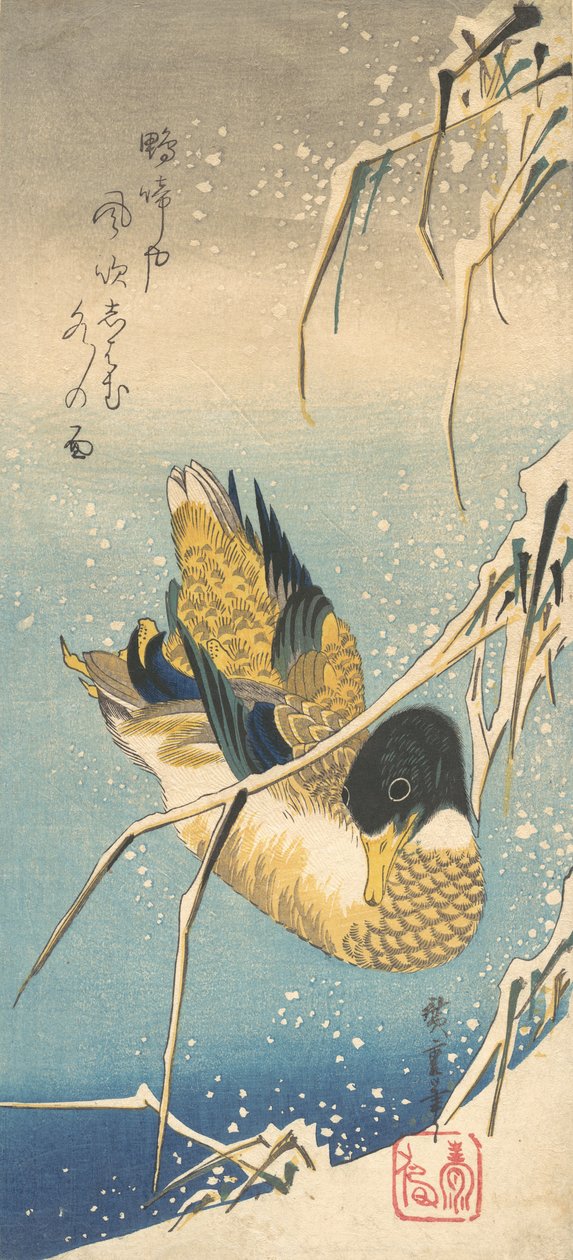 Kaczka krzyżówka i ośnieżone trzciny , ca. 1832., ca. 1832. autorstwa Ando Hiroshige