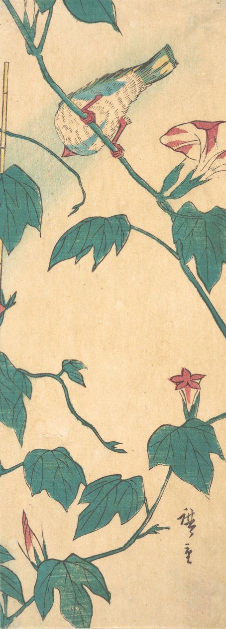 Poranne chwały i ptak, 1840-50., 1840-50. autorstwa Ando Hiroshige