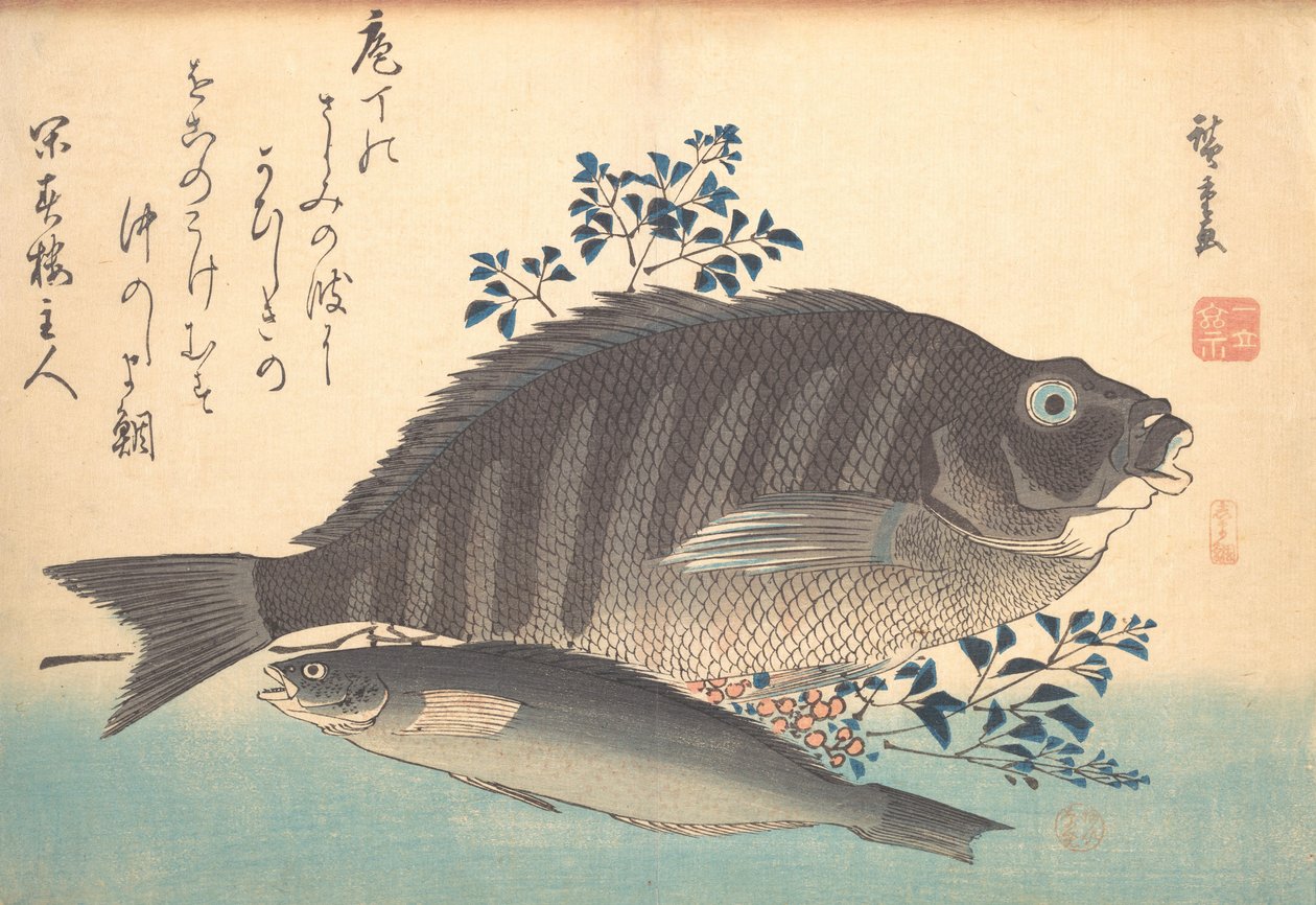 Shimadai i Ainame Fish, z serii Uozukushi Every Variety of Fish, lata czterdzieste XIX wieku, lata czterdzieste XIX wieku. autorstwa Ando Hiroshige