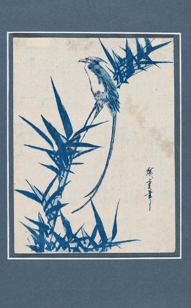 Nadruk Ukiyo-e - Niebieski ptaszek na gałęzi, c1820-1858 autorstwa Ando Hiroshige