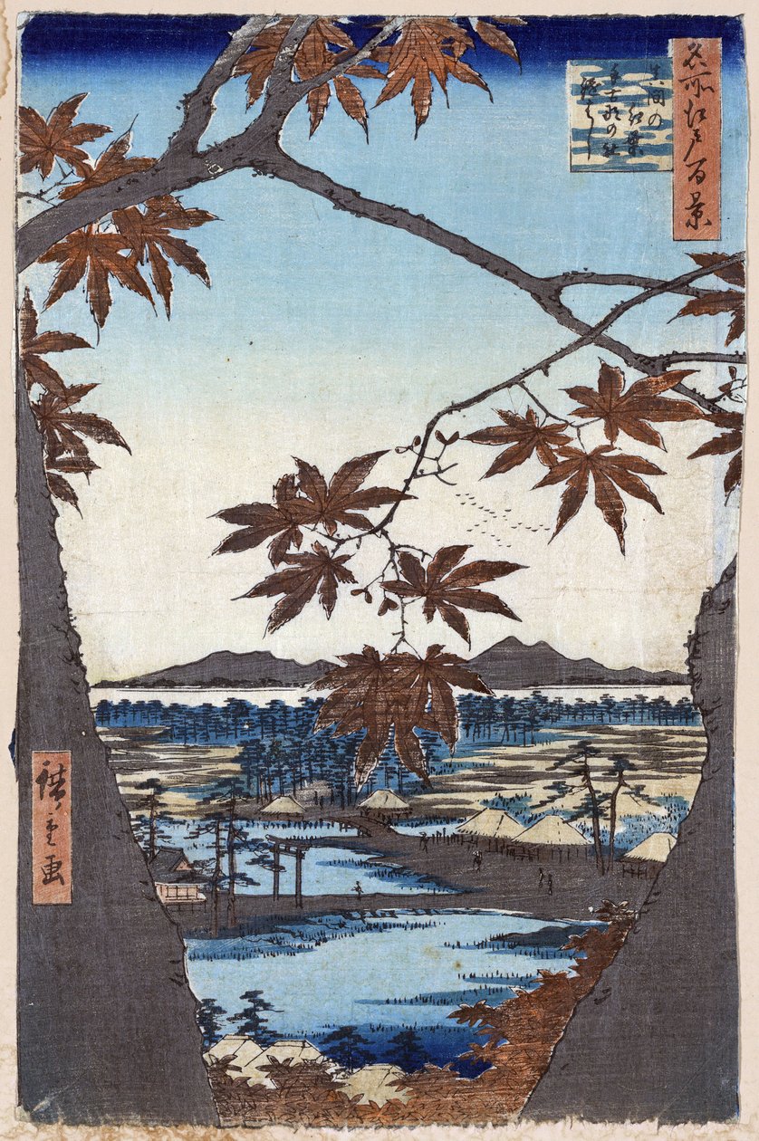 „Sto słynnych widoków Edo” (dzisiejsze Tokio): Liście klonu w Mama ze świątynią Tekona i mostem Tsugi. Widok na miasto Tokio w Japonii. (Liście klonu i świątynia Tekona i most w Mama (sto słynnych widoków Edo). Japoński druk drzeworytu autorstwa Ando or Utagawa Hiroshige