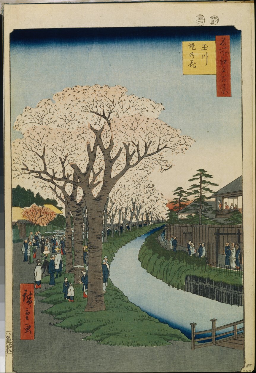 Cent vues celebres d"Edo: Wiśniowe kwiaty nad brzegiem rzeki Tama autorstwa Ando or Utagawa Hiroshige