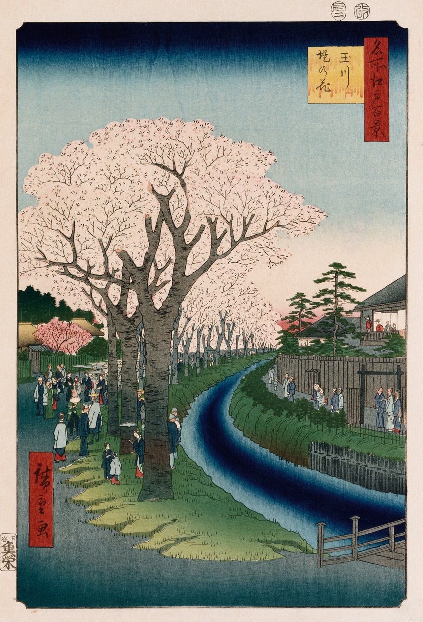 „Kwiaty wiśni, nabrzeże rzeki Tama” autorstwa Ando or Utagawa Hiroshige