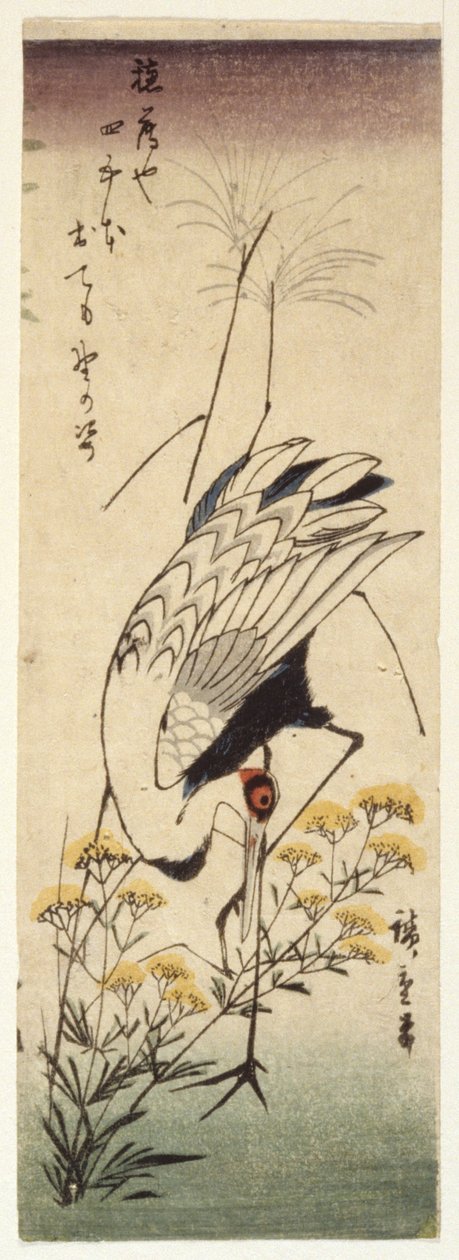 Żuraw z dziką gorczycą (drzeworyt kolorowy) autorstwa Ando or Utagawa Hiroshige