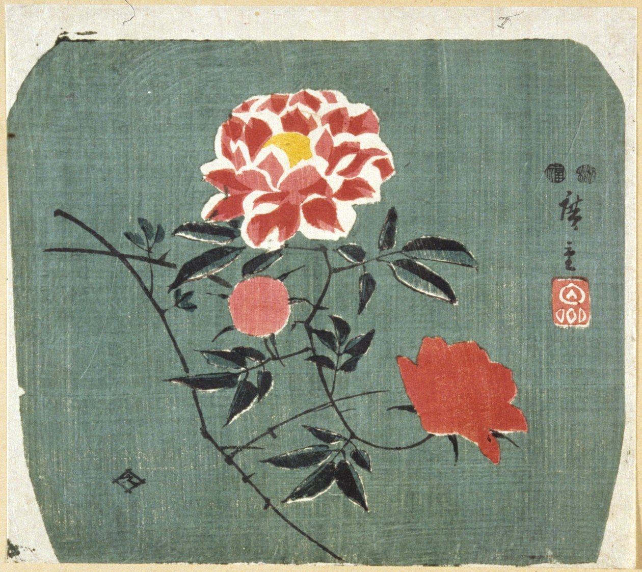 Nadruk wachlarza: róża autorstwa Ando or Utagawa Hiroshige