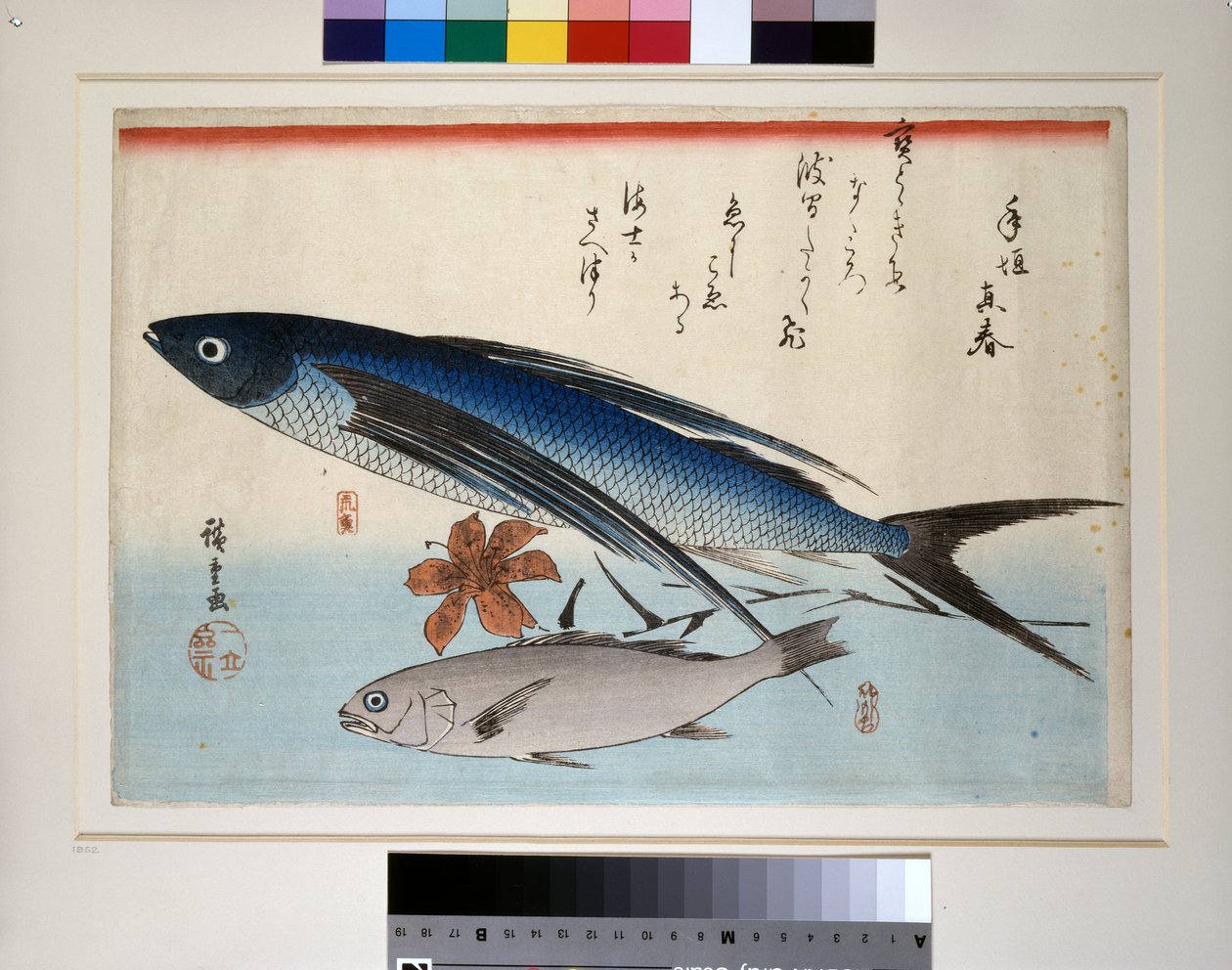 Latająca ryba, ryba ishimochi i lilia autorstwa Ando or Utagawa Hiroshige