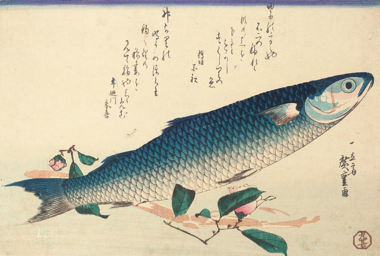 Szara barwena, kamelia i udo autorstwa Ando or Utagawa Hiroshige