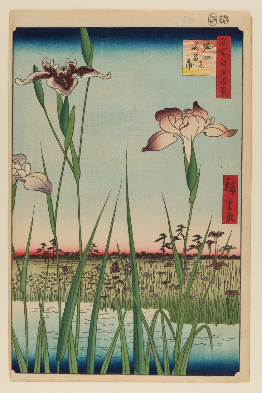 Ogród irysów Horikiri (Horikiri no Hanashobu) autorstwa Ando or Utagawa Hiroshige