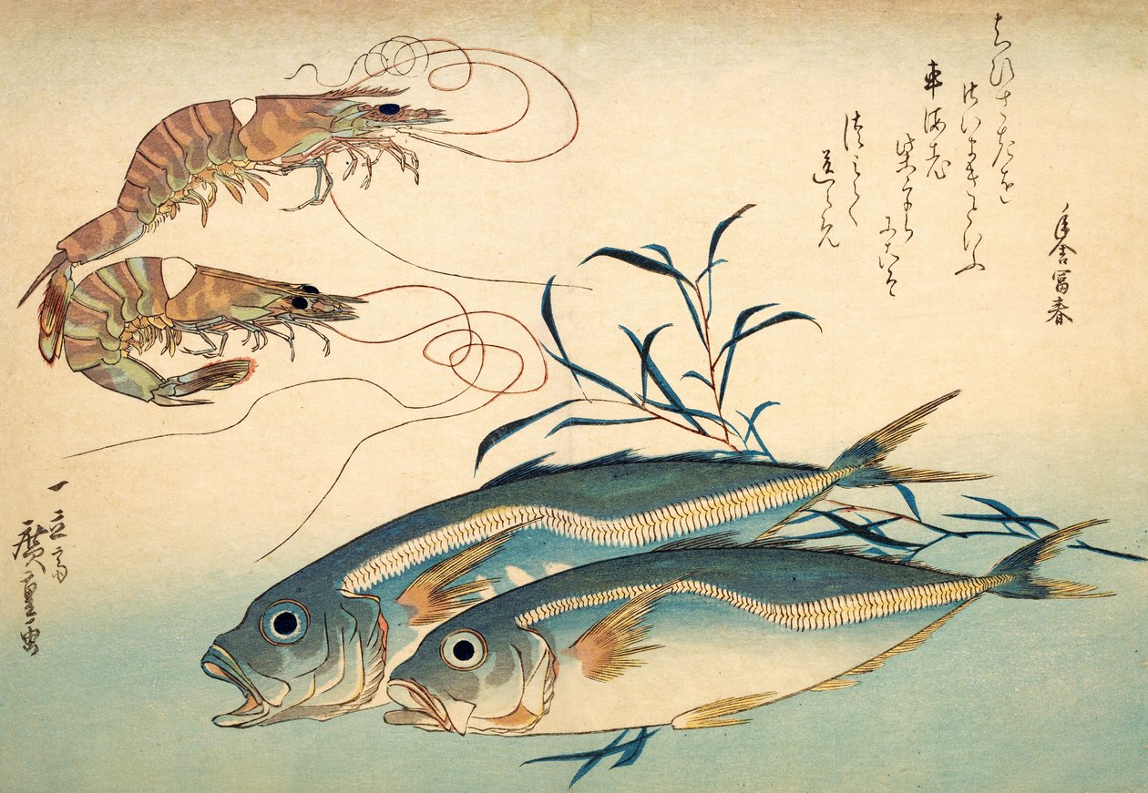 Japońska Makrela i Japońska Krewetka Tygrysia (kolorowy drzeworyt) autorstwa Ando or Utagawa Hiroshige