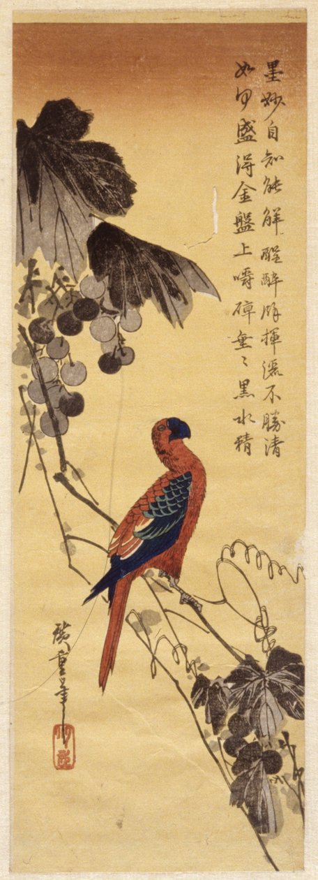 Papuga i winorośl (kolorowy drzeworyt) autorstwa Ando or Utagawa Hiroshige