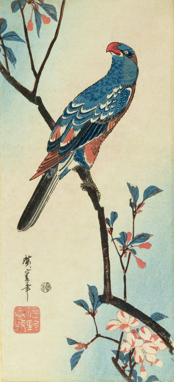 Papuga na gałęzi (drewnodruk) autorstwa Ando or Utagawa Hiroshige