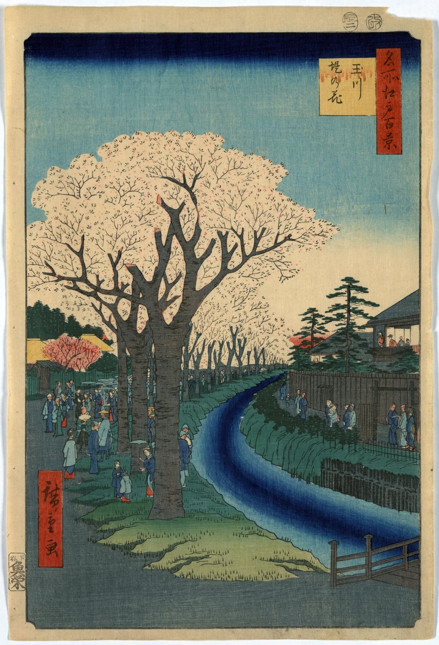 Grafika przedstawia turystów oglądających kwiaty wiśni wzdłuż brzegów rzeki Tama w Edo, drzeworyt Ando Hiroshige autorstwa Ando or Utagawa Hiroshige