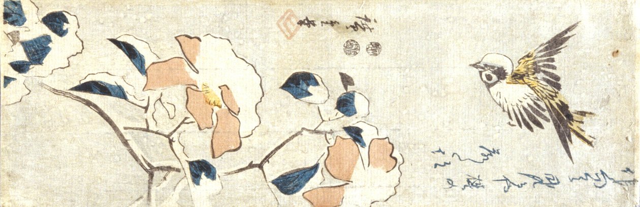 Wróbel i śnieżna kamelia (drzeworyt kolorowy) autorstwa Ando or Utagawa Hiroshige
