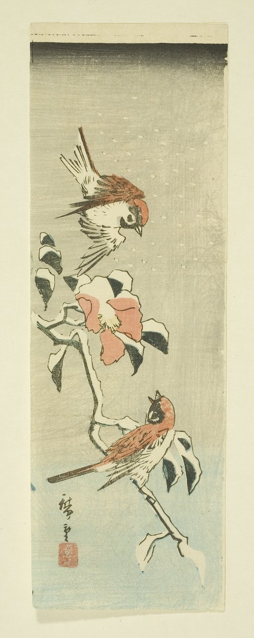 Sparrows and Camellia in Snow (kolorowy drzeworyt) autorstwa Ando or Utagawa Hiroshige