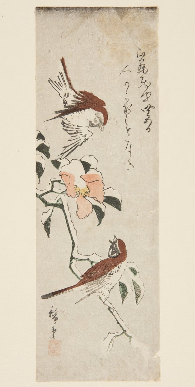 Sparrows and Camellia in Snow (kolorowy drzeworyt) autorstwa Ando or Utagawa Hiroshige